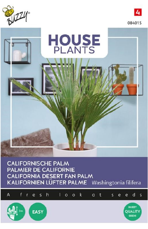 Kalifornische Palme