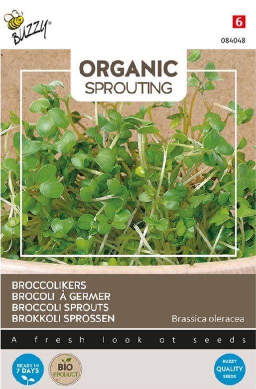 Organic Sprouting Broccoli Cherry