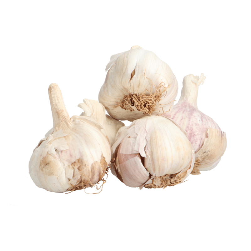 BIO - Plant Garlic Flavor