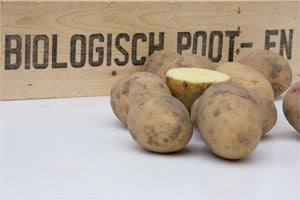 BIO - Seed potato Carolus