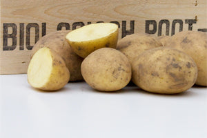 BIO - Seed Potato Twinner