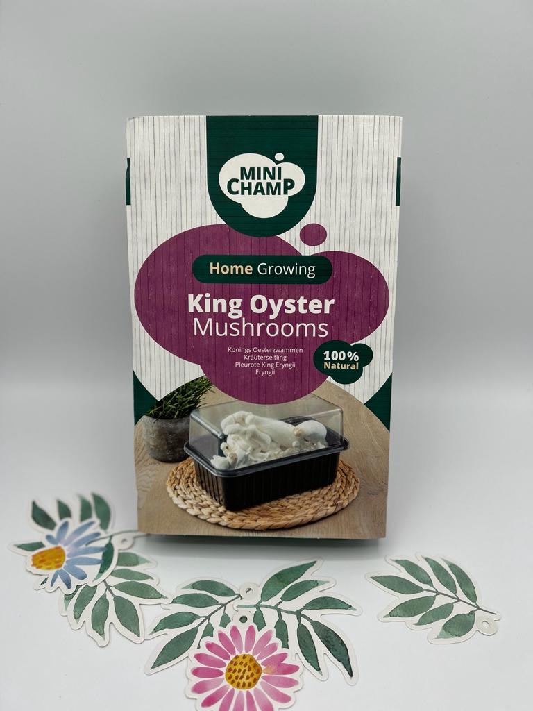 Mini Champ - King's oyster mushroom