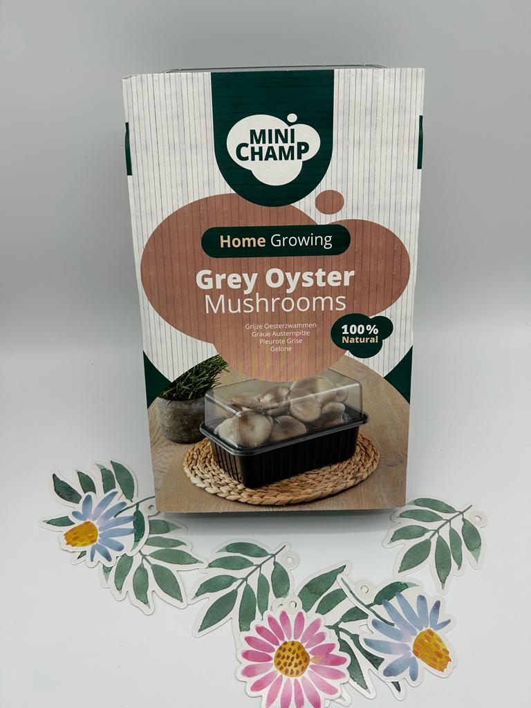 Mini Champ - Gray Oyster Mushroom