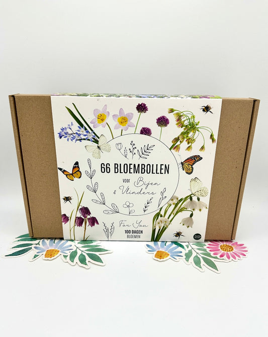 Geschenkbox – natürliche Blumenzwiebeln