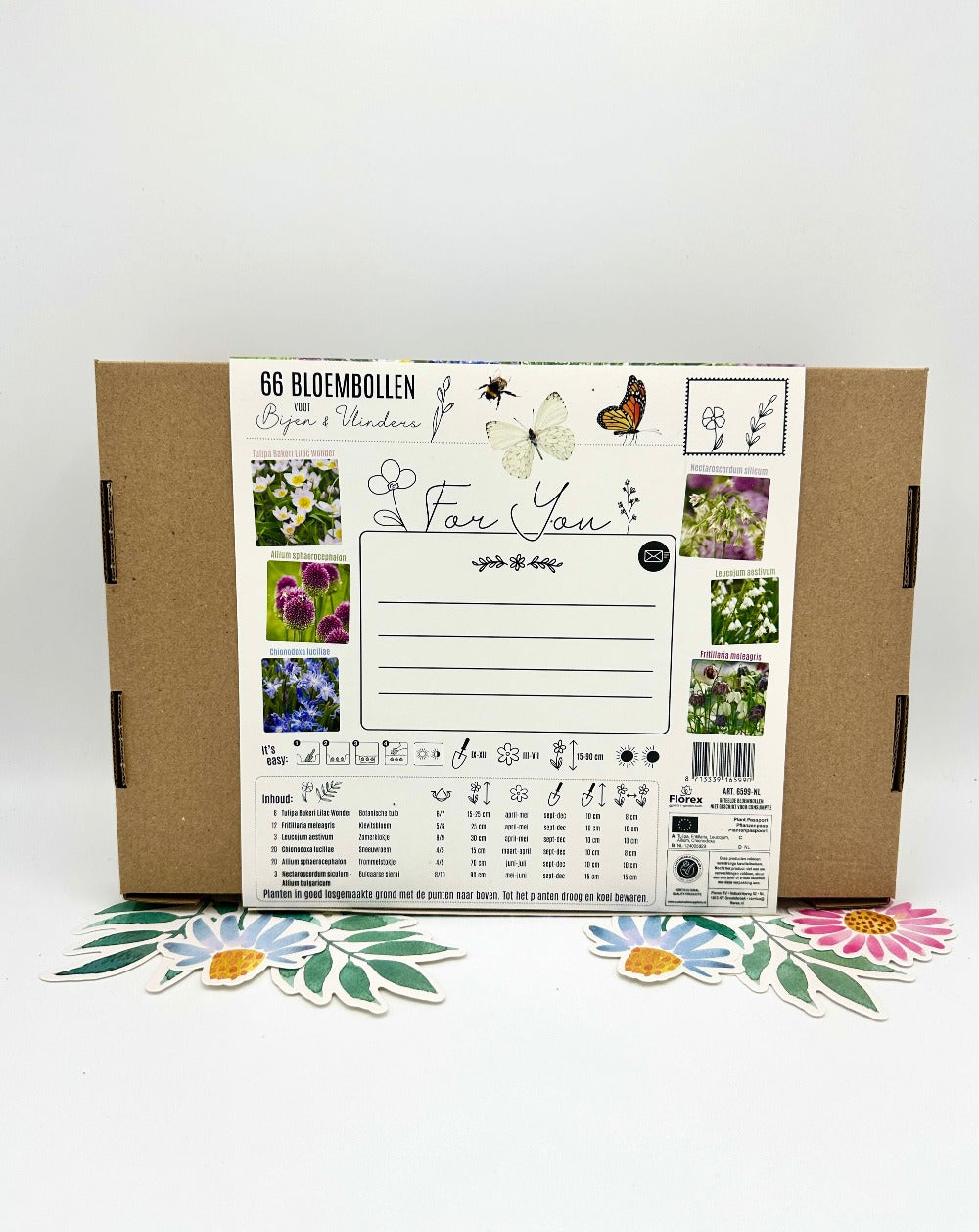 Gift Box - Natural Flower Bulbs