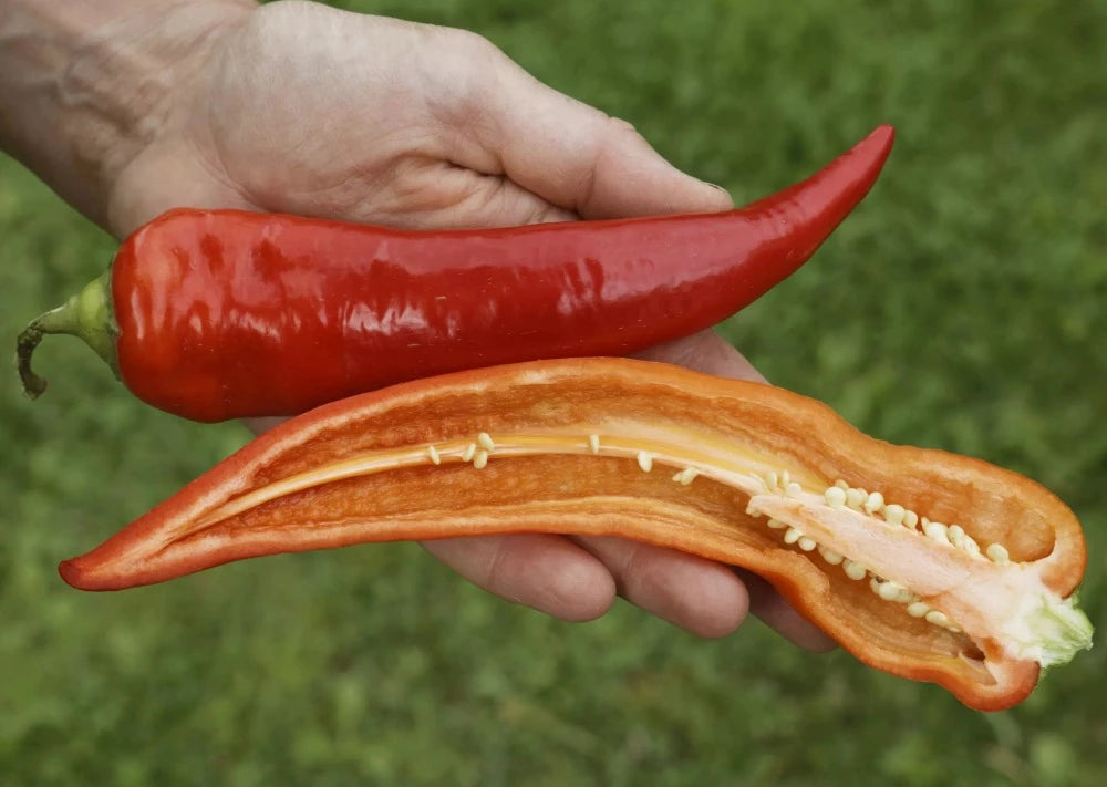 Bio-Paprika-Süßbanane