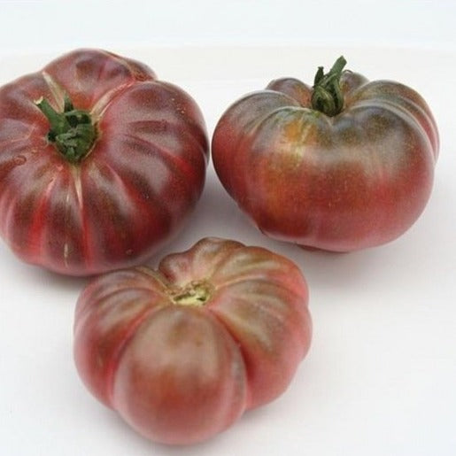 Bio-Tomaten-Lila-Kalebasse